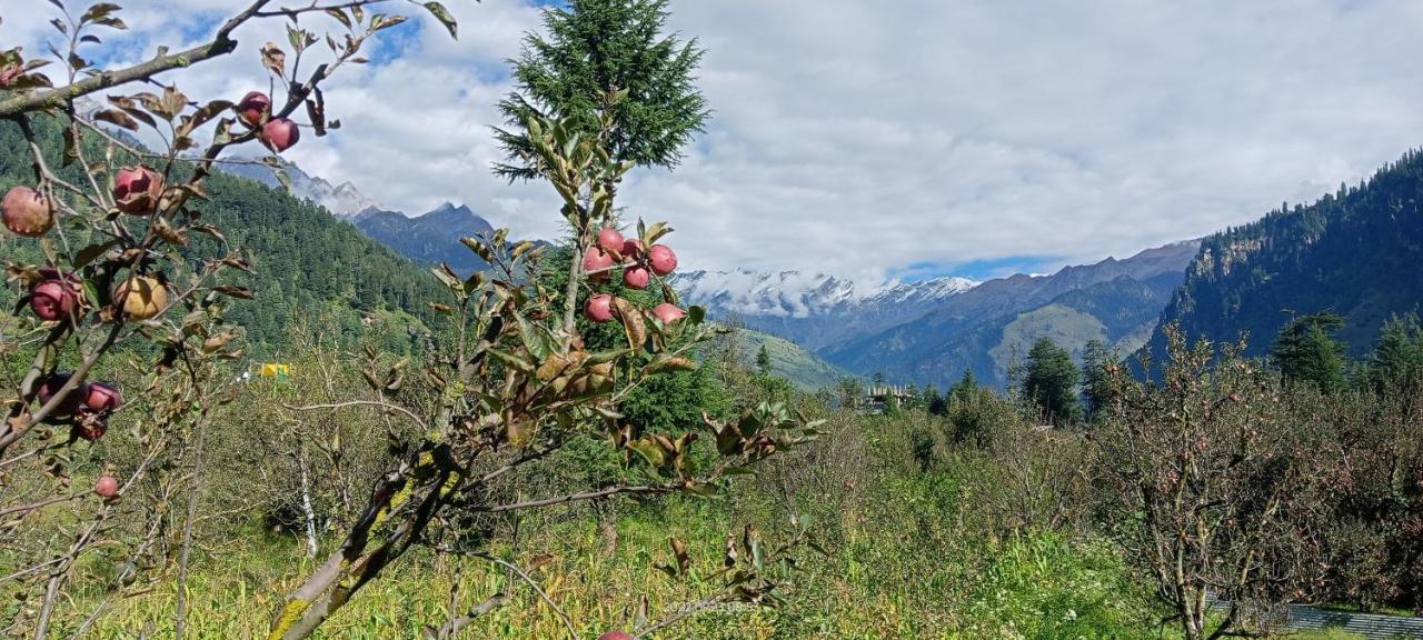 Apple Flower With Balcony And Mountain View Manali  Exterior photo